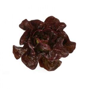 Салат "Галатея / Galatea" 5000 драже. Рік Цваан, (Rijk Zwaan)