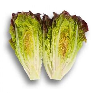 Салат "Галатея / Galatea" 1000 драже. Рік Цваан, (Rijk Zwaan)