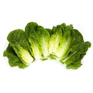 Салат "Рафаель/Rafael" 1000 драже. Рік Цваан, (Rijk Zwaan)