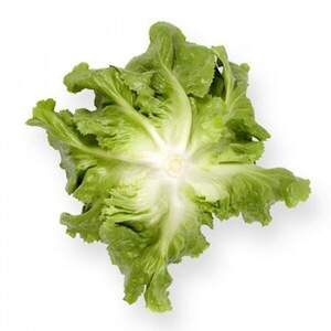 Салат "Сейшел / Seychel" 5000 драже. Рік Цваан, (Rijk Zwaan)