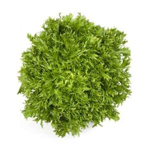 Салат "Корбі / Korbi" 5000 драже. Рік Цваан, (Rijk Zwaan)