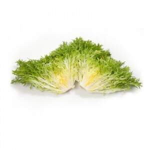 Салат "Корбі / Korbi" 5000 драже. Рік Цваан, (Rijk Zwaan) Салат "Корбі / Korbi" 5000 драже. Рік Цваан, (Rijk Zwaan)