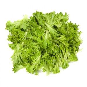 Салат "Експлор/Explore" 1000 с. Рік Цваан, (Rijk Zwaan)