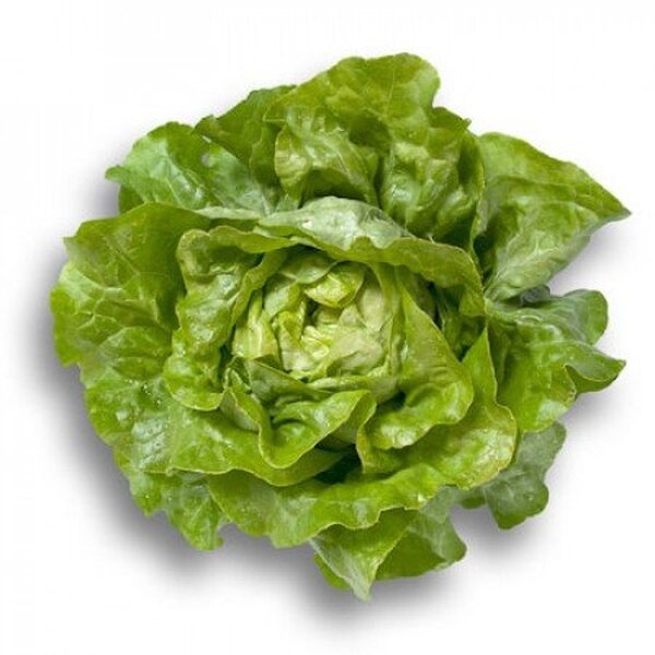 Салат Салат