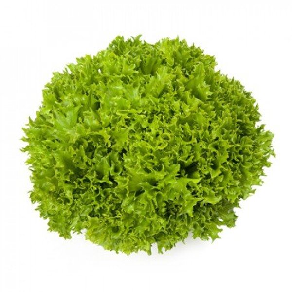 Салат Салат