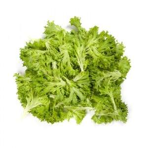 Салат "Екзект/Exact" 5000 с. Рік Цваан, (Rijk Zwaan)