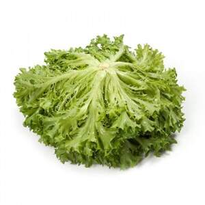 Салат "Експедишн / Expidition" 1000 с. Рік Цваан, (Rijk Zwaan)