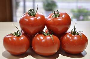 Томат "Беріл" F1 100 с. Рік Цваан, (Rijk Zwaan)