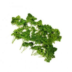 Петрушка Ріна 10 г Рік Цваан, (Rijk Zwaan)