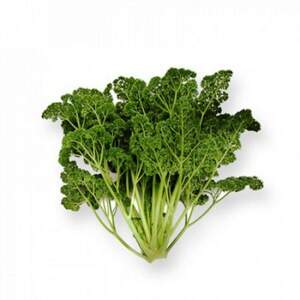 Петрушка Ріна 10 г Рік Цваан, (Rijk Zwaan)