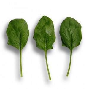 Шпинат "Боа" 1 000 000 с. Рік Цваан, (Rijk Zwaan)