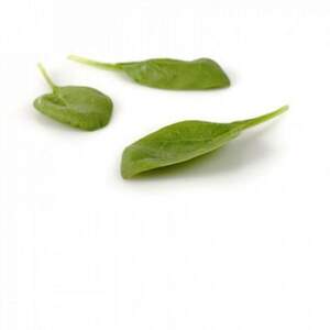 Шпинат "Муфлон" F1 1 000 000 с. Рік Цваан, (Rijk Zwaan)