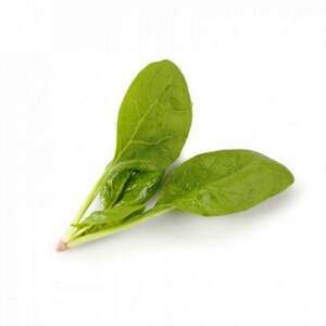 Шпинат "Муфлон" F1 25 000 с. Рік Цваан, (Rijk Zwaan)