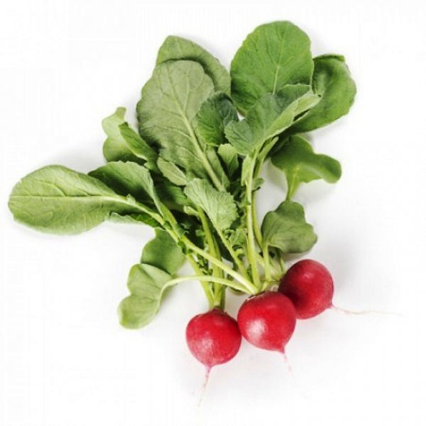 Редис "Бєлсей F1 / Belsay F1" 25 000 с. (фракція 2.25 – 3.25) Rijk Zwaan Редис "Бєлсей F1 / Belsay F1" 25 000 с. (фракція 2.25 – 3.25) Rijk Zwaan