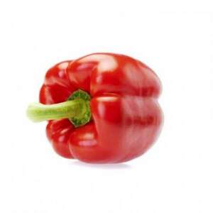 Перець "Ред Джет" F1 1000 с. Рік Цваан, (Rijk Zwaan) Перець "Ред Джет" F1 1000 с. Рік Цваан, (Rijk Zwaan)