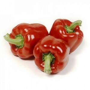 Перець "Мазурка" F1 100 с. Рік Цваан, (Rijk Zwaan)