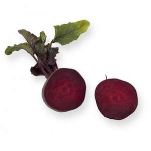 Буряк столовий Акела  F1 (PR калібр. 3,50 - 4,25) 500 000 нас.  (Rijk Zwaan)