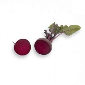 Буряк Монті F1 (PR калібр. 2,75 - 3,50) 25 000 насінин (Rijk Zwaan)