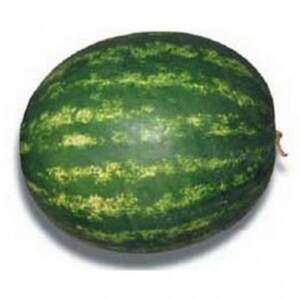 Кавун Соренто F1 1000 нас. (Syngenta)