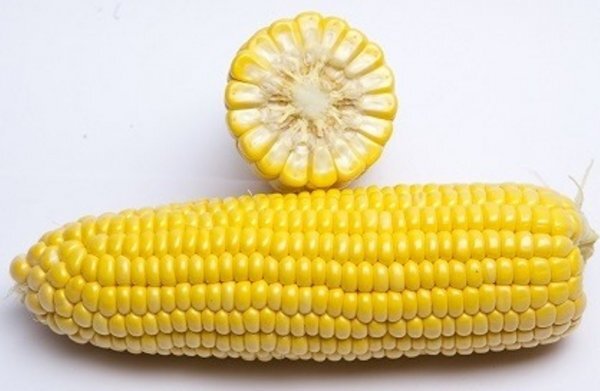 Кукурудза цукрова GSS 3071 F1 100 000 н. Сингента (Syngenta) Кукурудза цукрова GSS 3071 F1 100 000 н. Сингента (Syngenta)