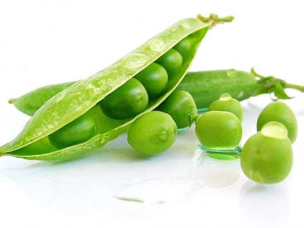 Горох овочевий Ламбадо 200 000 н. Сингента (Syngenta) Горох овочевий Ламбадо 200 000 н. Сингента (Syngenta)