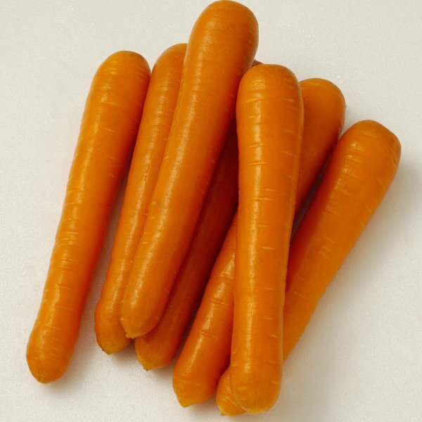 Морква "Маестро" F1 VD 100000 семена Хазера, (Hazera) Морква "Маестро" F1 VD 100000 семена Хазера, (Hazera)