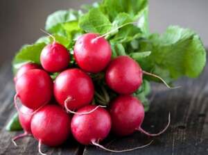 Редис "Дієго" F1 калібр. (3-3,25 мм) 25000 с. Хазера, (Hazera)