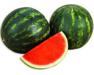 Кавун "Екстазі" F1 1 000 с. Хазера, (Hazera)