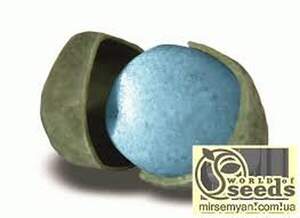 Добриво "NovaTec" 15-3-20 (НоваТек), 25кг,