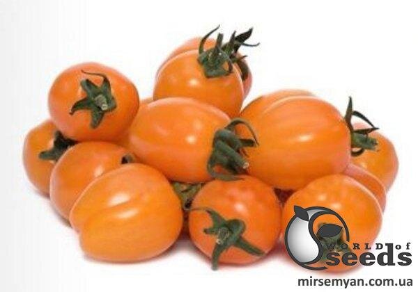 Насіння томату "Оранж Олів" F1 1000 с. Lark Seesd USA Насіння томату "Оранж Олів" F1 1000 с. Lark Seesd USA