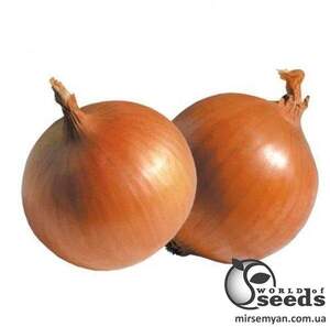 Насіння цибулі "Імперіос" F1 100 000 с. Lark Seesd USA