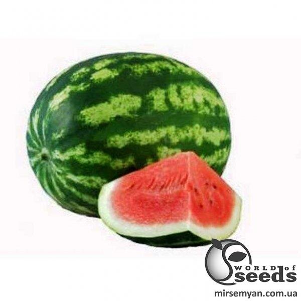Насіння кавуна "Султан" F1 1000 с. Lark Seesd USA Насіння кавуна "Султан" F1 1000 с. Lark Seesd USA