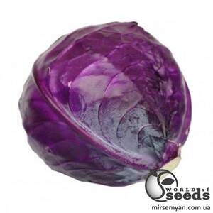 Насіння капусти червонокачанної "Ред Клас" F1 2 500 с. Lark Seesd USA
