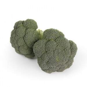 Капуста броколі "Ларссон / Larsson" F1 калібр. 1000 с. Рік Цван, (Rijk Zwaan)