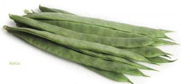 Квасоля спаржева "Фестивал/Festival (16-17)" 1000с. Рік Цваан, (Rijk Zwaan) Квасоля спаржева "Фестивал/Festival (16-17)" 1000с. Рік Цваан, (Rijk Zwaan)