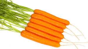 Морква "Джерада" F1 25 000 с. (2-2,2), Рійк Цваан, (Rijk Zwaan)