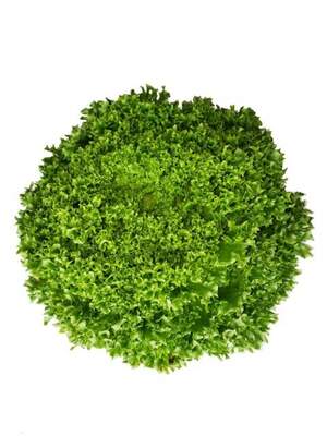 Салат "Лалик/Lalique RZ" 5000 с. Рік Цваан, (Rijk Zwaan)