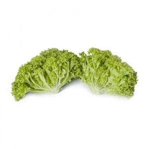 Салат "Лугано/Lugano" Драже. 1000 с. Рійк Цваан/(Rijk Zwaan)