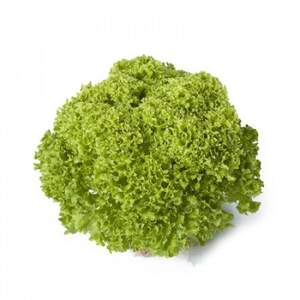 Салат "Лугано/Lugano" Драже. 1000 с. Рійк Цваан/(Rijk Zwaan)