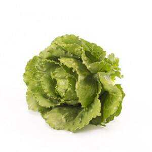 Салат "Веродіта (Verodita RZ)" 5 000 с. Рійк Цваан/(Rijk Zwaan)