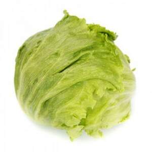 Салат "Даянас (Dayanas RZ)" 5000 с. Рійк Цваан/(Rijk Zwaan)