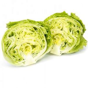 Салат "Даянас (Dayanas RZ)" 1000 с. Рійк Цваан/(Rijk Zwaan)