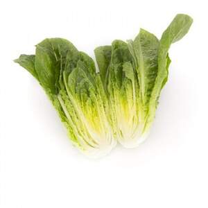 Салат Салат