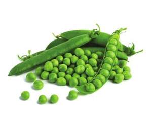 Горох "Едді" F1 25 кг Хазера, (Hazera)