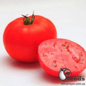 Насіння томату Мірсіні F1 (Mirsini F1) 1000 сем , Семініс, (Seminis)