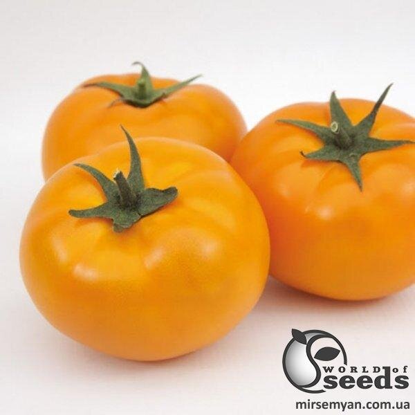 Насіння томату Насіння томату