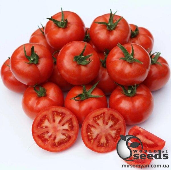 Томат "Саргас" F1 1000 семена (Yuksel Seeds) Томат "Саргас" F1 1000 семена (Yuksel Seeds)