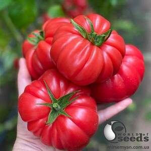 Томат "Пінк Кой" F1 500 семена (Yuksel Seeds) Томат "Пінк Кой" F1 500 семена (Yuksel Seeds)