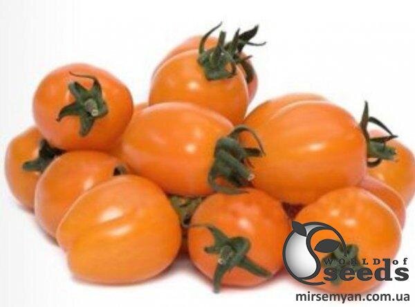 Томат "Мода" F1 100 семена (Yuksel Seeds) Томат "Мода" F1 100 семена (Yuksel Seeds)