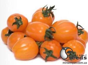 Томат "Мода" F1 100 семена (Yuksel Seeds)